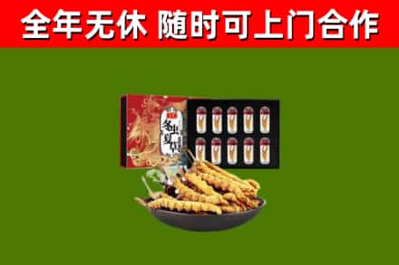 西华回收冬虫夏草价格